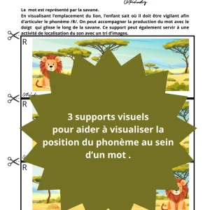 Aide visuelle R lion