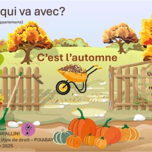Qu'est-ce qui va avec ? Automne (jeu d'appariements LE)
