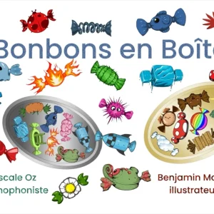Bonbons en Boîtes