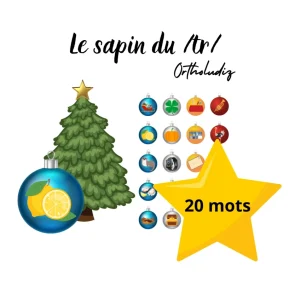 Le sapin du /tr/