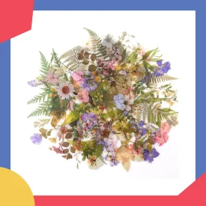 Lot d'Autocollants Floral et Végétal