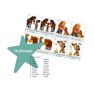 Phrases pluriels nominaux