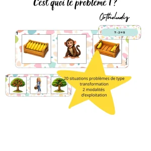 C'est quoi le problème 1 ?