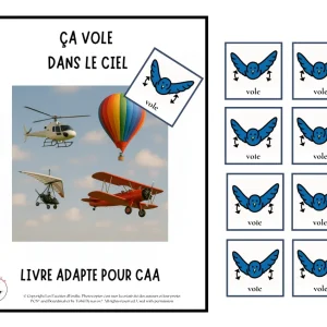 Livre Adapté en CAA, Verbe Voler /moyen de transport aérien