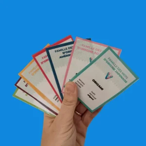 🌍 Jeu de 7 familles – Mots d'origine étrangère