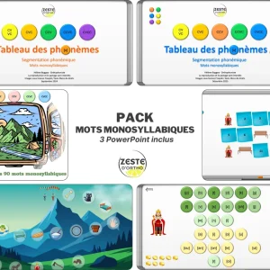 PACK Mots monosyllabiques (3 PowerPoint inclus)