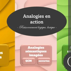 🧠 Analogies en action